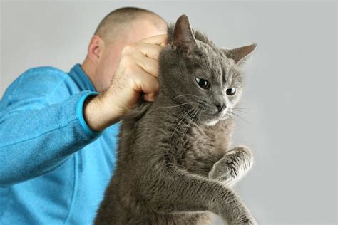 ‎SCRUFF .